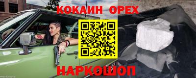 jwh Камышлов