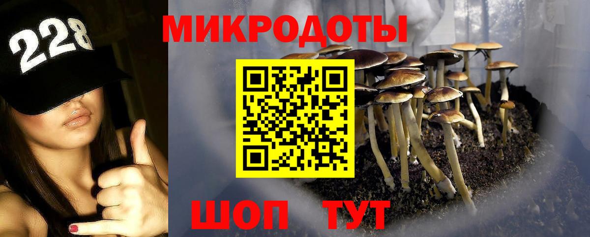 купить наркоту  Галлюциногенные грибы GOLDEN TEACHER  Вход с VPN  Галлюциногенные грибы Psilocybine cubensis  Жигулёвск 